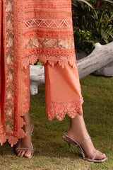 3 Piece Embroidered Lawn Suit with Embroidered Chiffon Dupatta PM-62030