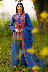 3 Piece Embroidered Lawn Suit with Embroidered Borders CL-52448