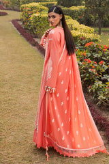 3 Piece Embroidered Lawn Suit with Embroidered Denting Dupatta DN-62031