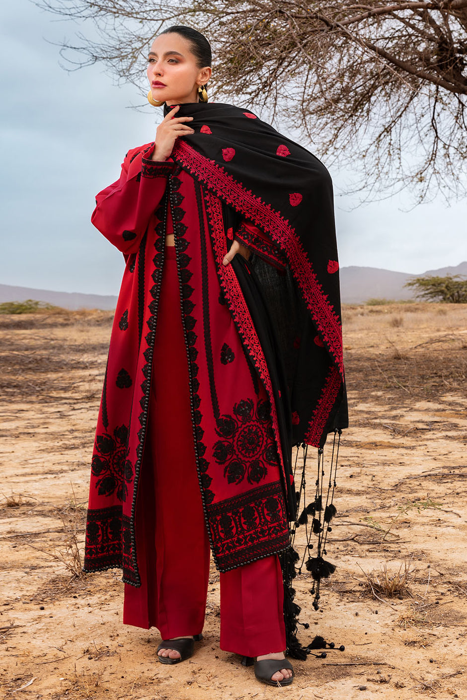 3 Piece Unstitched Embroidered Pashmina Suit with Embroidered Shawl and Chalk Border