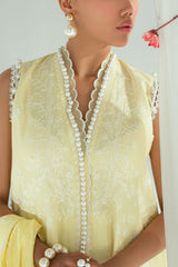 3 Piece Embroidered Lawn Suit with Lacquer Printed Denting Dupatta DN-62020