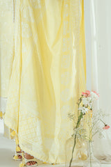 3 Piece Embroidered Lawn Suit with Lacquer Printed Denting Dupatta DN-62020