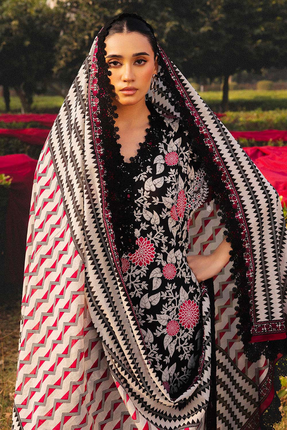 3 Piece Printed Lawn Suit with Embroidered Border