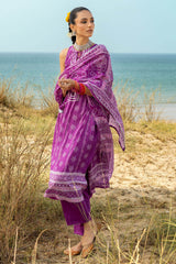 3 Piece Printed Lawn Suit CL-62026 A