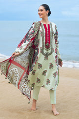 3 Piece Printed Lawn Suit with Dupatta CL-62066 B