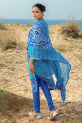 3 Piece Printed Lawn Suit CL-62148 B