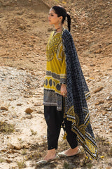 3 Piece Printed Lawn Suit CL-62173 B