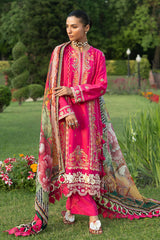 3 Piece Embroidered Raw Silk Suit with Embroidered Organza Borders and Printed Silk Dupatta