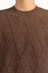 Regular Fit Sweater MN-SWT-WS25-029