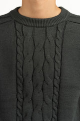 Regular Fit Sweater MN-SWT-WS25-037