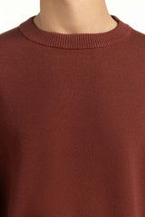 Regular Fit Sweater MN-SWT-WS25-072 A