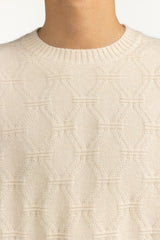 Regular Fit Sweater MN-SWT-WS25-040