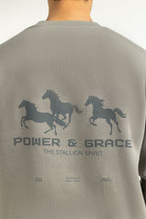 Regular Fit Sweatshirt MN-SWS-WS25-005