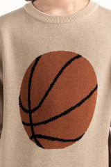 Junior Boy Beige Knit Sweater 224-311-045