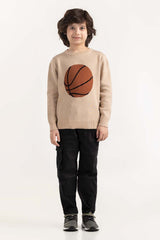 Junior Boy Beige Knit Sweater 224-311-045
