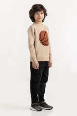 Junior Boy Beige Knit Sweater 224-311-045
