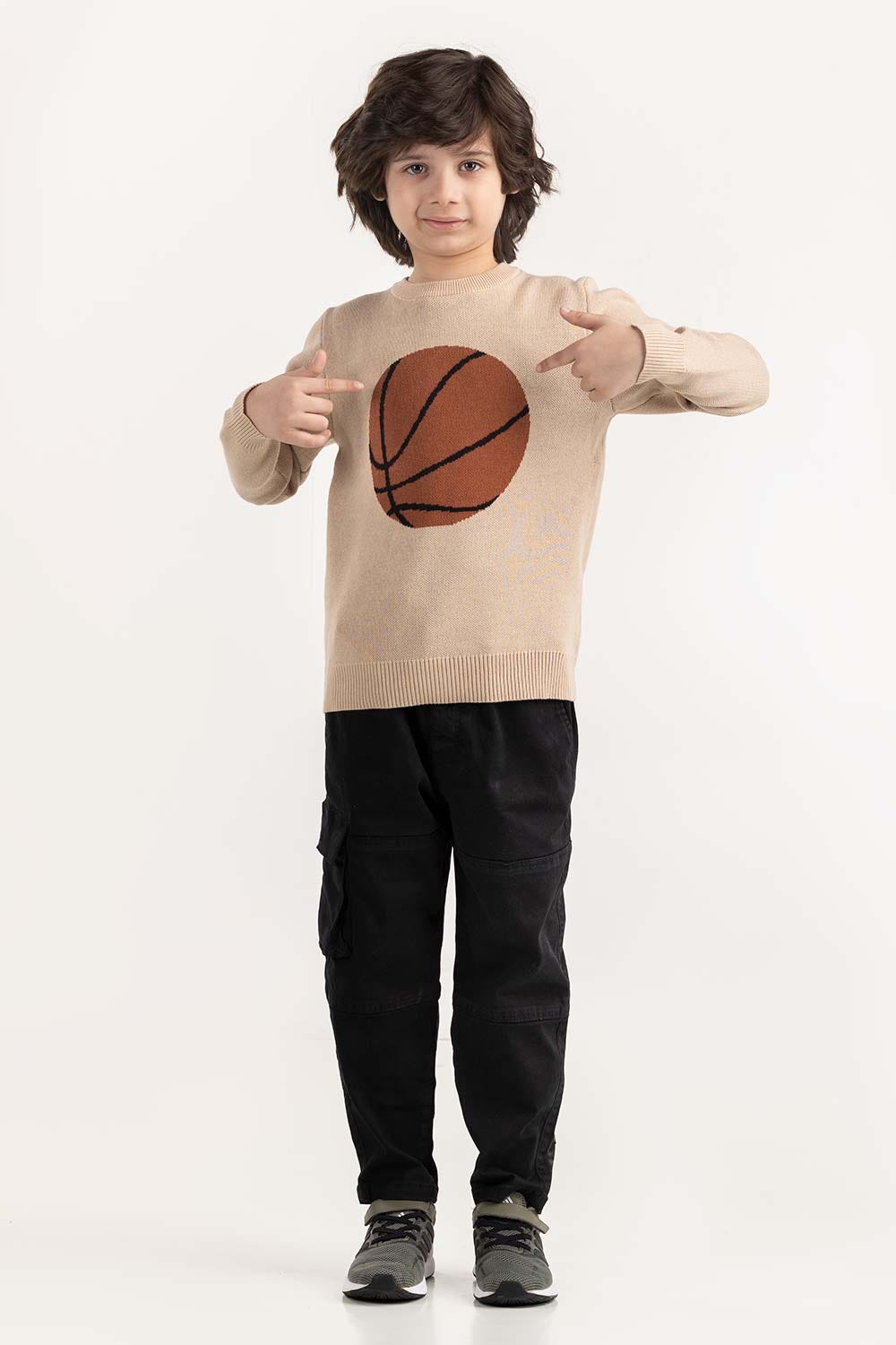 Junior Boy Beige Knit Sweater 224-311-045