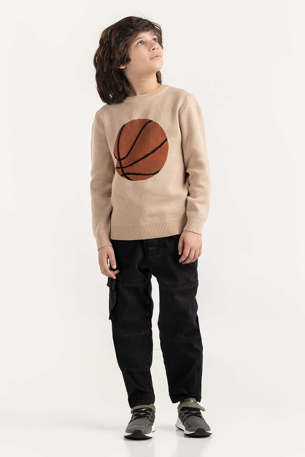 Junior Boy Beige Knit Sweater 224-311-045