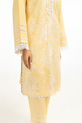 Cambric Embroidered Shirt And Trouser IPST-44494