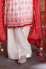 3 Piece Unstitched Printed Lawn Suit CL-42316 A