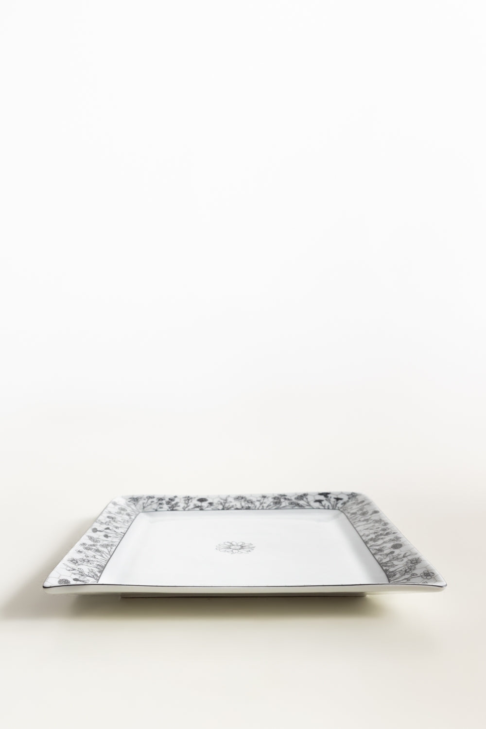 Fusion Dinner Plate