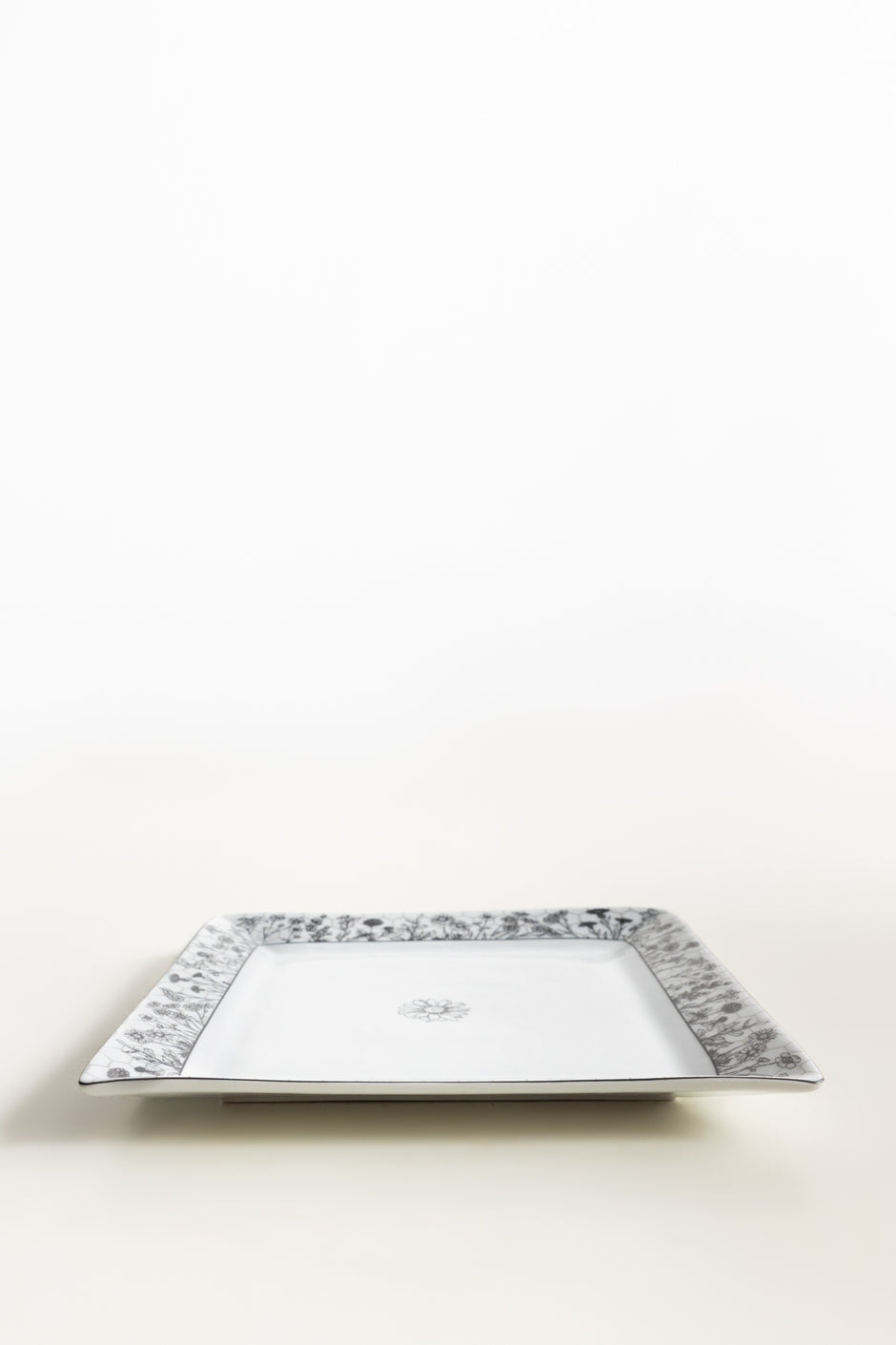 Fusion Dinner Plate