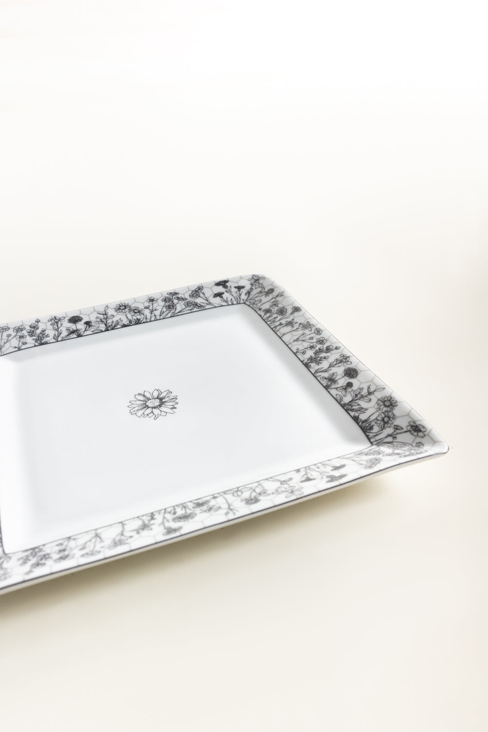 Fusion Dinner Plate
