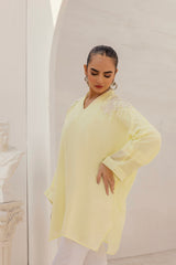 Dyed Georgette Embroidered Top GLS-24-24
