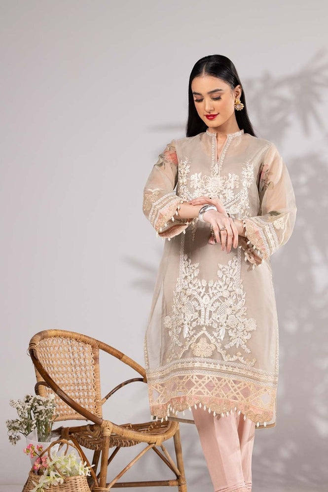 Organza Embroidered Shirt And Trouser