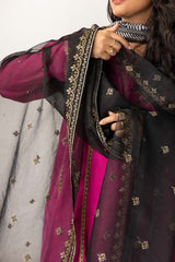 Organza Embroidered Dupatta IPD-44242