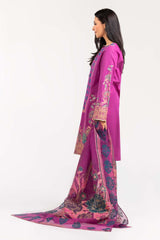 2 Piece Suit Cambric Shirt Organza Dupatta IPS-21-112