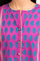2 Piece Suit Cambric Shirt Organza Dupatta IPS-21-112