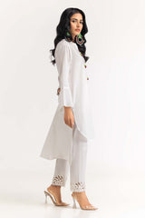 2 Piece Dyed Cambric Embroidered Shirt With Trouser IPS-23-89