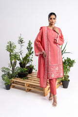 3 Piece Embroidered Cross Slub Suit IPSTD-44124