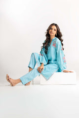 2 Piece Embroidered Shirt With Trouser IPW-22-11