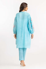 2 Piece Embroidered Shirt With Trouser IPW-22-11