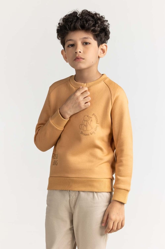 Junior Boy Clay Printed Sweatshirt 224-312-075