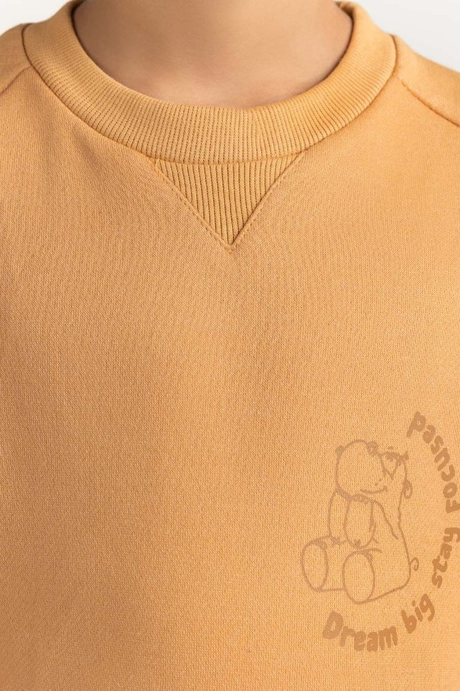 Junior Boy Clay Printed Sweatshirt 224-312-075