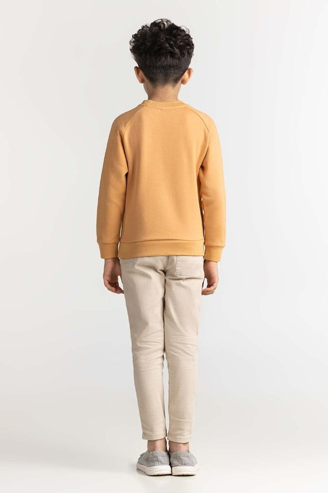 Junior Boy Clay Printed Sweatshirt 224-312-075