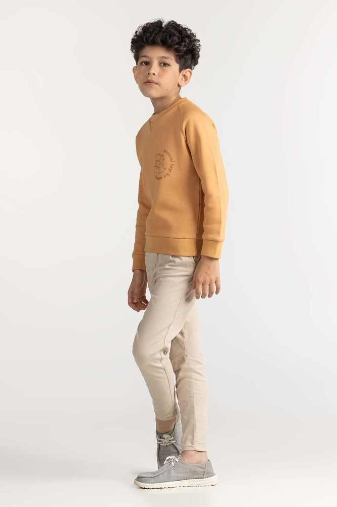 Junior Boy Clay Printed Sweatshirt 224-312-075