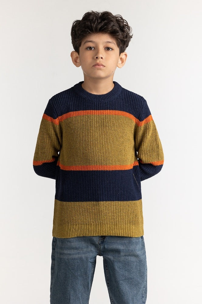 Junior Boy Multi Basic Sweater JB-SWT-WS23-026