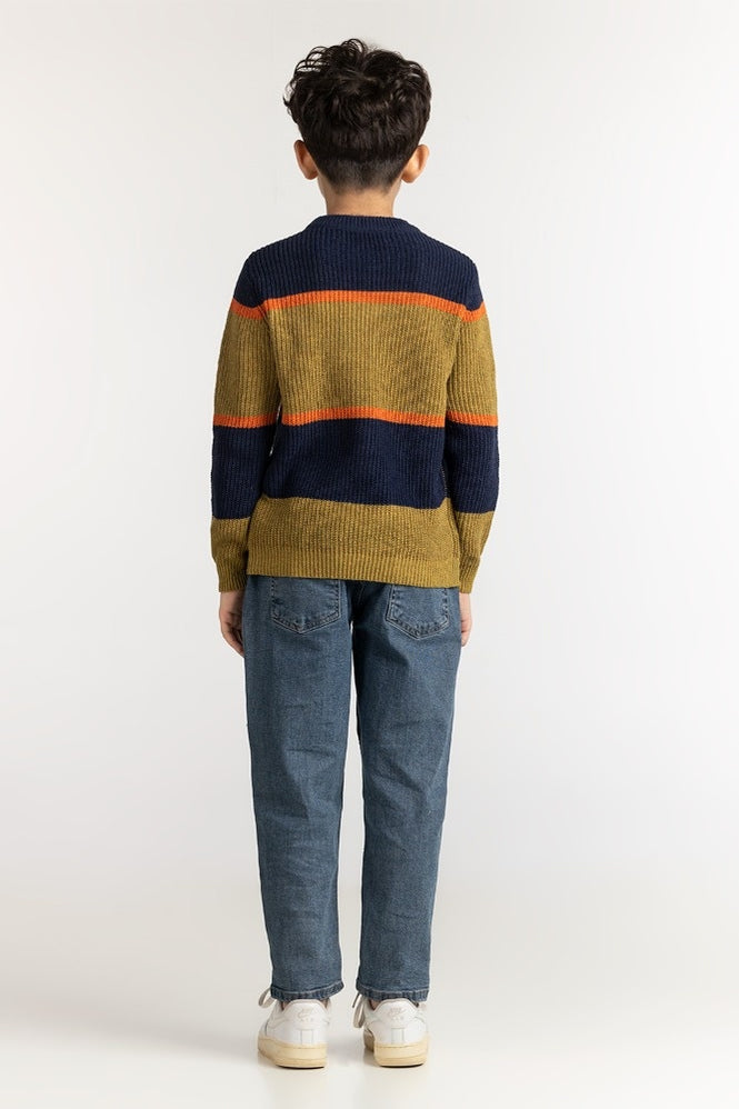 Junior Boy Multi Basic Sweater JB-SWT-WS23-026