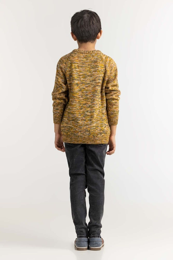 Junior Boy Multi Basic Sweater JB-SWT-WS23-036