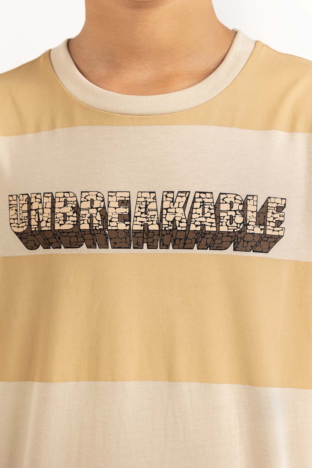 Junior Boy Multi T-Shirt 231-313-050