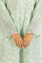 Lawn Schiffli Embroidered Shirt And Dyed Trouser IUSTTS-637