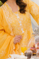 3 Piece Unstitched Embroidered Lawn Suit with Embroidered Denting Lawn Dupatta DN-52001
