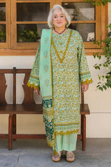 3 Piece Unstitched Printed Lawn Suit CL-52372 B