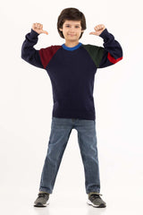 Junior Boy Navy Sweater 224-311-026