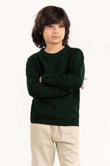 Junior Boy Olive Knit Sweater 224-311-100