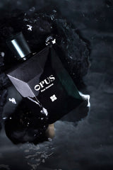 Opus Perfume For Men